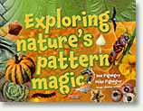 Exploring Nature's Pattern Magic